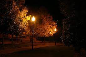 Yellow Autumn Night Autumn Night Autumn Phone Wallpaper Night Aesthetic
