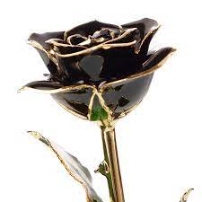 They are available in several different plants and flowers including gold dipped orchids, lily, mistletoe, holly leaf, and ivy leaf. Gold Dipped Roses Golden Rose For Amazon Selling Beautiful Gold Black Rose Flowers Wedding Decoration Black Rose For Gifts Buy Wedding Gift Gold Dipped Rose Golden Rose Gold Rose Black Rose 24k Gold