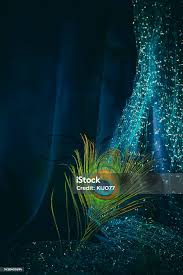 'Lord Krishna Playing Flute , Peacock Feather, Wall Sticker ' Self Adhesive  Sticker (Pack Of 1)