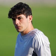 Pablo Saenz (@pablosaenze8)