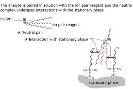 Principle And Mechanisms Of Reversed Phase Ion Pairing Chromatography (With  Animation) | Analytical Chemistry | Pharmaxchange.Info