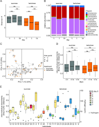 Microbiota Stability In Healthy Individuals After Single Dose Lactulose Challenge A Randomized Controlled Study Biorxiv