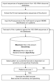 flow chart summarizing the procedure for identifying the dna