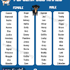 This is such a good website to find out a good name for your dogs. 3