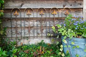 In diesen ratgeber gehen wir auf damit verbundene probleme ein sowie nicht nur neben­her auf die vielfältigsten themen rund um haus, hof und garten. Kuheiga Ratgeber Wissenswertes Und Tipps Fur Heim Garten Garten Gartengestaltung Tipps
