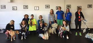 Avoid breed restrictions · easy, fast & free · live in any rental Therapy Dog Training Course Bright Spot Therapy Dogs