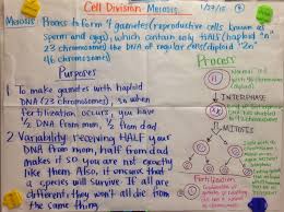 Pin On Biology Glad Charts