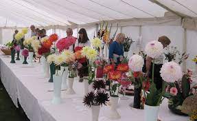Binfield Heath Flower And Dog Show Best Flower Wallpaper