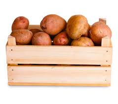 Il existe de nombreuses variétés adaptées à différentes utilisations : Pomme De Terre Agata Recolte 2019 Les Jardins De Couleau