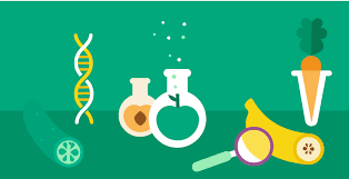 49,937 likes · 19 talking about this · 1 was here. Food Technologies Securing Our Future Food Supply