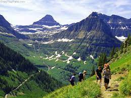 Highline Trail Hike Hiking The Highline Trail Glacier Park Hikes Glacier Park Glacier National Park Glacier National Park Hikes