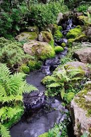 Hotels near orchid garden & koi pond. 15 Japanese Koi Ponds For Your Garden Top Diy Ideas In 2020 Water Features In The Garden Garden Stream Garden Waterfall