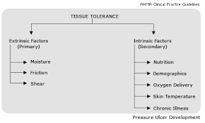 Pressure Ulcer Basics Tissue Tolerance