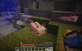 Maybe you would like to learn more about one of these? Minecraft How To Tame And Breed Axolotls Ginx Esports Tv