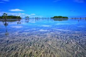 Olango Island Group Wikipedia