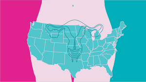 Ovarian Cancer By The Numbers