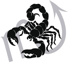 scorpio zodiac horoscope astrology sign canvas drawing scorpio zodiac astrology signs