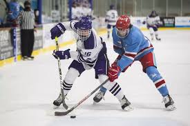 Rally helps Men's Hockey forge 2-2 tie with Johnnies