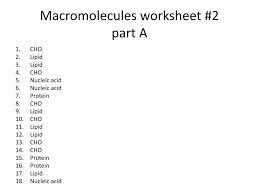 Macromolecules questions for your custom printable tests and worksheets. Macromolecules Worksheet 2 Answers Promotiontablecovers