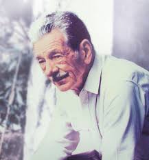 Security, continuity, and social commitment