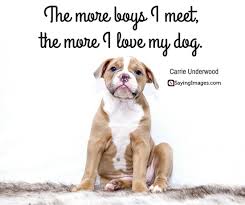 Check spelling or type a new query. Dog Love Quotes On Unconditional Love And Belly Rubs Sayingimages Com
