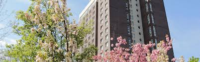 Bewertung trivago rating index ® basierend auf 4208 bewertungen im internet. Elbbrucken Hotels In Hamburg Mit Pool Holiday Inn Hamburg