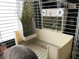 うさぎは トイレを覚えるとよく言われます しかし ウンチ 糞 のしつけがなかなかうまくいかない 何とかならないの と悩んでいらっしゃる飼い主さんは意外と多いのではないでしょうか 今回は 糞をどこにでもしてしまううさぎに トイレを覚えさせる方法をご紹介し