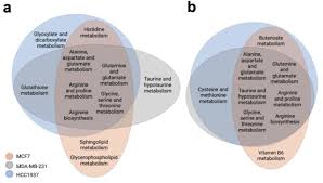 The differential metabolic signature of breast cancer cellular response to  olaparib treatment