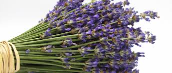 �������� �� ������� ������ ��� ����������