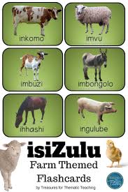 This Resource Is In Isizulu One Of South Africa S 11 Official Languages The Flashcards Are Based On A Farm Theme Flashcards Thematic Teaching Zulu Language