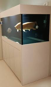 Aquarium centre table for your hall or sitting room. Second Hand Fish Tank For Sale Aquarium Cabinets Singapore N30 Tank