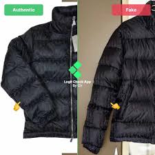 Cacti (family cactaceae) are popular houseplants thanks to the wide variety available and their low maintenance requirements. Dior Puffer Jacket Fake Vs Real Guide Legit Check By Ch