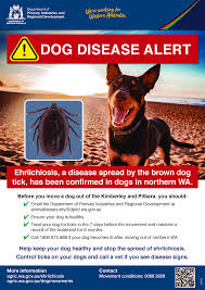 It is also commonly referred to as the wa government or the western australian government. Dog Movement Conditions To Reduce The Spread Of Ehrlichiosis Agriculture And Food