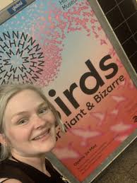 Love seeing our ads out and about for Birds: Brilliant and Bizarre. Really  love the colour of this creative that was made by the talented design team  and our deputy head of