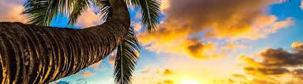 Hawaii Ein Sehnsuchtsziel Hawaii inseln | oahu, maui, kauai, big island, molokai oder lanai ✓ finde die richtige insel für deinen individuellen hawaii urlaub ➔ jetzt informieren.