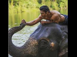 Junglee Movie Review 2 5 Chuck Russell Delivers A Mammoth Disappointment With This Vidyut Jammwal Film Filmibeat Nonton movie junglee (2019) streaming film layarkaca21 lk21 dunia21 bioskop keren cinema indo xx1 box office subtitle indonesia gratis online download | nonton.pro. junglee movie review 2 5 chuck