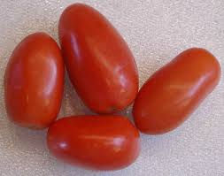 Image result for roma tomatoes pictures