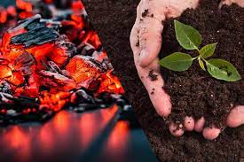 What do you do with your remaining ash or wood is your compost starting to smell like ammonia? Can You Put Coal Ash In Compost Garden Tabs