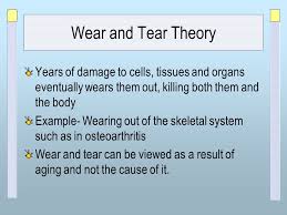 Nancy V Karp Ed D P T Theories Of Aging Nancy V Karp Ed D P T Ppt Video Online Download