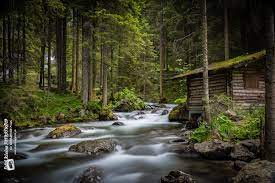 79 likes · 9 talking about this · 89 were here. Das Haus Am Bach Foto Bild Europe Osterreich Landschaft Bilder Auf Fotocommunity