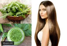 طريقة عمل شامبو الجرجير تاجك Long Hair Styles Hair Styles Beauty