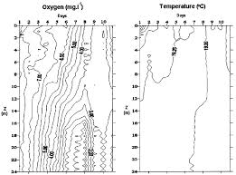 Isolines Charts Of Dissolved Oxygen And Temperature During