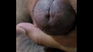 Ernakulam boy whats me 91 90375 51890 for real meet - XNXX.COM