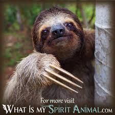 Sloth In Dreams What Is My Spirit Animal Spirit Totem Power Animals Spirit Animal Meaning Spirit Animal My Spirit Animal