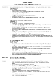 Java Senior Developer Resume Samples Velvet Jobs