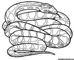 Rattlesnake Coloring Page Snake Coloring Pages Coloring Pages Animal Coloring Pages