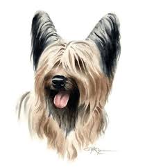 Maybe you would like to learn more about one of these? Posters Prints Rat Terrier In Paris Watercolor 8 X 10 Dog Art Print By Artist Dj Rogers W Coa Home Furniture Diy