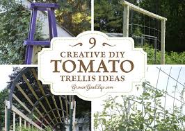 Check spelling or type a new query. 9 Creative Diy Tomato Trellis Ideas