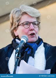 241 Sandi Stock Photos