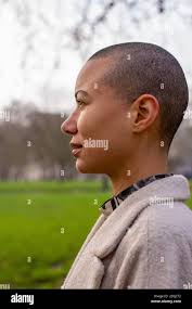 Modelli di scivolamento immagini e fotografie stock ad alta risoluzione